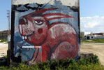 slamstyle | rabbit | sevilla | spain (17 votes)