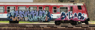 snake- | molar | train-bordeaux (16 votes)