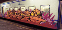 sbafe | milano | train-italy (23 votes)