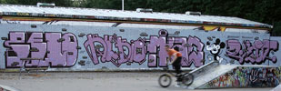 beno | rubio | mkae | ebot | purple | london | ukingdom (31 votes)