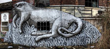 phlegm | cat | ukingdom (25 votes)
