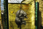 roa | london | ukingdom (17 votes)