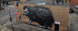 roa | big | london | ukingdom (14 votes)