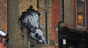 roa | rat | london | ukingdom (33 votes)