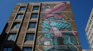 aryz | bristol | ukingdom (39 votes)