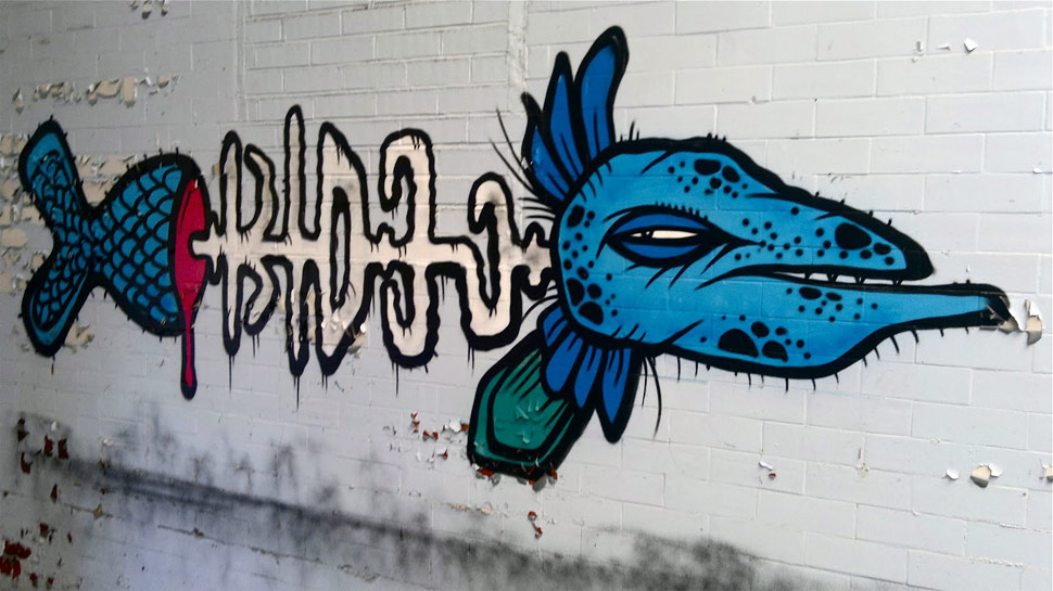 kid30 | fish | ukingdom