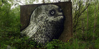 phlegm | sheffield | ukingdom (28 votes)