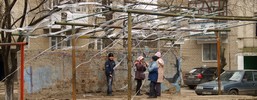 -mo- | 3-d | lutsk | ukraine (17 votes)