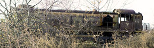 7906 | trashtrain | chop | ukraine (27 votes)