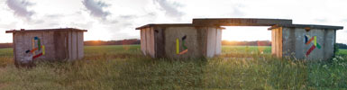 bvs | ukraine (33 votes)