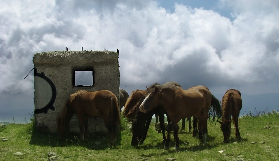 black-circle-festival-2 | horse | ukraine