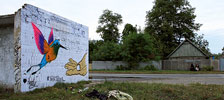 bvs | bird | kyiv | ukraine (28 votes)