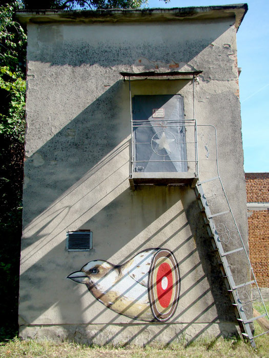 fol | bird | ukraine