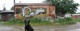ids | fruit | step | dog | lviv | ukraine (24 votes)