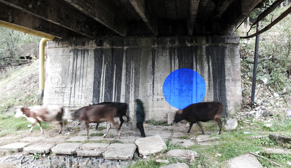 york | blue | ukraine