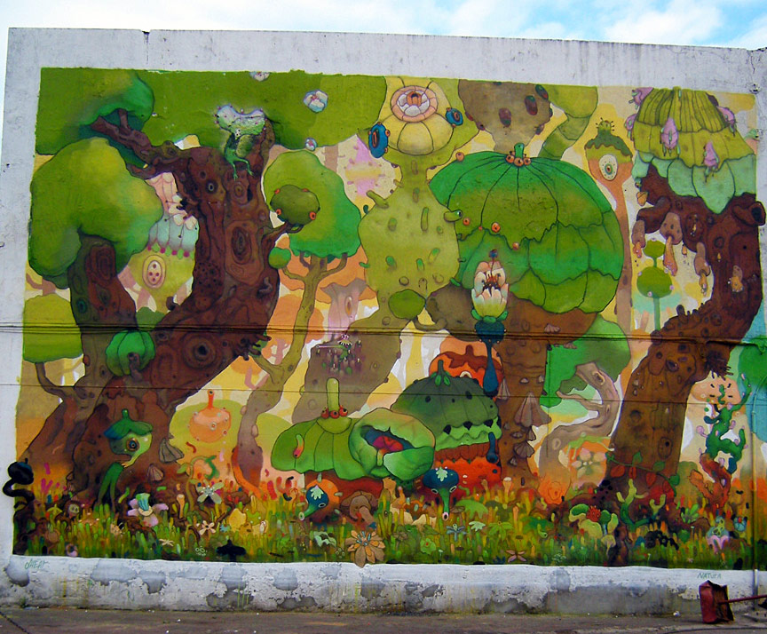 dhear | morocco