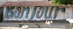 muro | dakar | various (9 votes)
