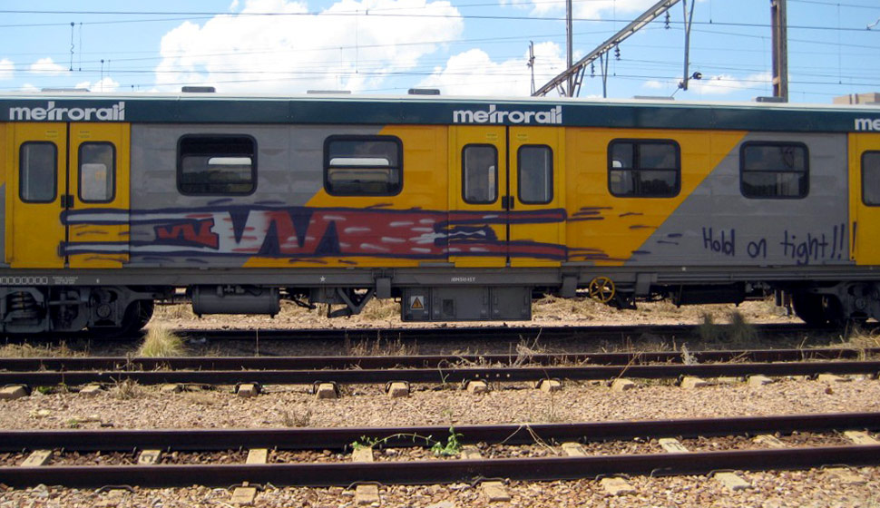 quagga | train | south-africa | various
