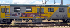 quagga | train | south-africa | various (17 votes)