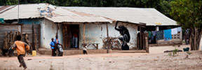 roa | gambia | africa | various (20 votes)