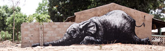 roa | gambia | elephant | various (26 votes)