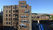 roa | johannesburg | south-africa | africa (14 votes)