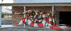 fintan-magee | snake | brisbane | australia (7 votes)