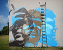 guido-van-helten | portrait | australia (10 votes)
