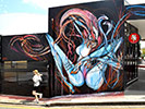shida | australia (9 votes)