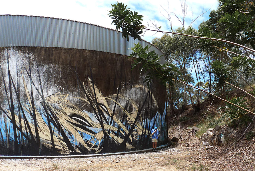 shida | big | australia