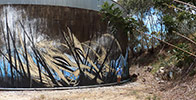 shida | big | australia (7 votes)
