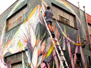 shida | process | australia (5 votes)