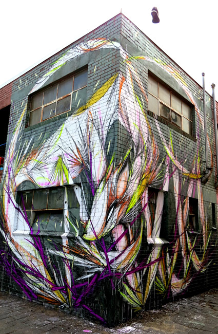 shida | australia