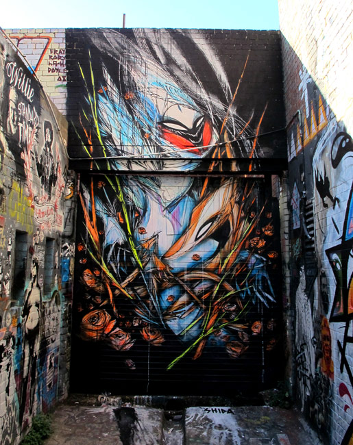 shida | australia