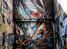 shida | australia (7 votes)