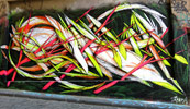 shida | australia (12 votes)