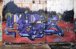repie | purple | bordeaux (9 votes)