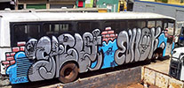 saguy | bus | brazil (1 vote)