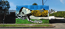 bumblebee | hollywood | california (7 votes)