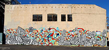 feral | cannon-dill | zio-zeigler | sanfrancisco | california (10 votes)
