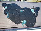 escif | blue | losangeles | california (12 votes)