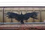 aris | freight | black | bird | europe (13 votes)