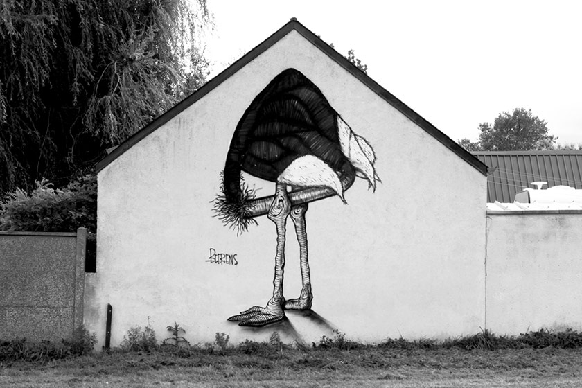 michael-beerens | bird | france