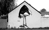 michael-beerens | bird | france (10 votes)