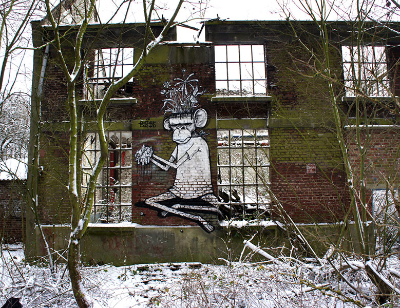 michael-beerens | snow | monkey | lille | france