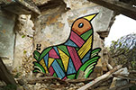 pablito-zago | bird | avignon | france (11 votes)