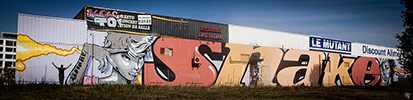 snake | toulouse | france (13 votes)