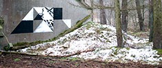 graphic-surgery | snow | germany (13 votes)