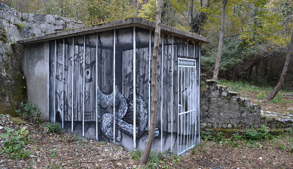 auks | sqon | italy