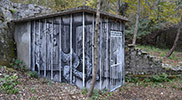 auks | sqon | italy (26 votes)